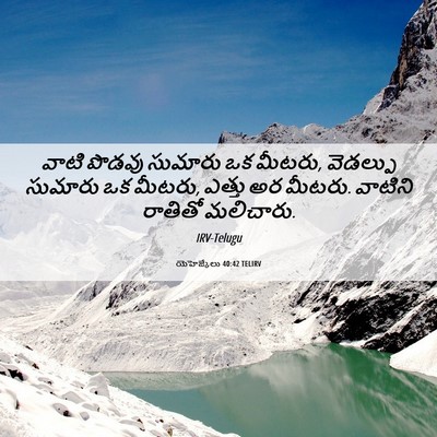 Picture 06 - యెహెజ్కేలు 40:42 TELIRV - వాటి పొడవు సుమారు - Bible Verse Picture