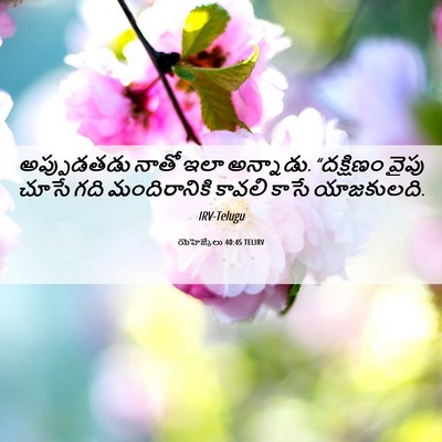 Picture 06 - యెహెజ్కేలు 40:45 TELIRV - అప్పుడతడు నాతో - Bible Verse Picture