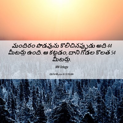 Picture 06 - యెహెజ్కేలు 41:13 TELIRV - మందిరం పొడవును - Bible Verse Picture