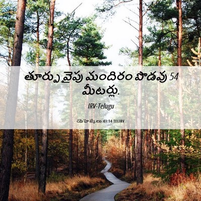 Picture 06 - యెహెజ్కేలు 41:14 TELIRV - తూర్పు వైపు - Bible Verse Picture
