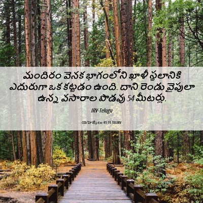 Picture 06 - యెహెజ్కేలు 41:15 TELIRV - మందిరం వెనక - Bible Verse Picture