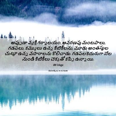 Picture 06 - యెహెజ్కేలు 41:16 TELIRV - అప్పుడా వ్యక్తి - Bible Verse Picture