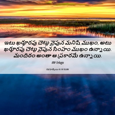 Picture 06 - యెహెజ్కేలు 41:19 TELIRV - ఇటు ఖర్జూరపు - Bible Verse Picture