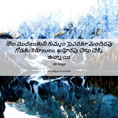 Picture 06 - యెహెజ్కేలు 41:20 TELIRV - నేల మొదలుకుని - Bible Verse Picture