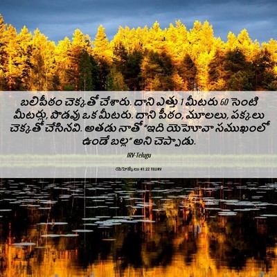 Picture 06 - యెహెజ్కేలు 41:22 TELIRV - బలిపీఠం చెక్కతో - Bible Verse Picture