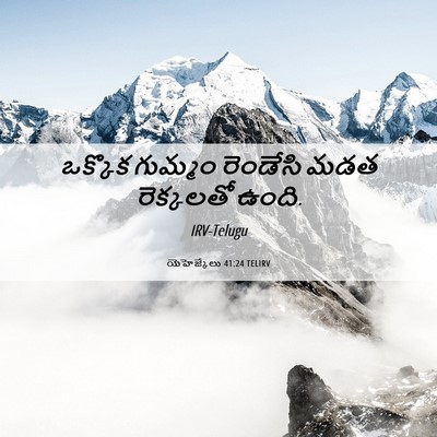 Picture 06 - యెహెజ్కేలు 41:24 TELIRV - ఒక్కొక గుమ్మం - Bible Verse Picture
