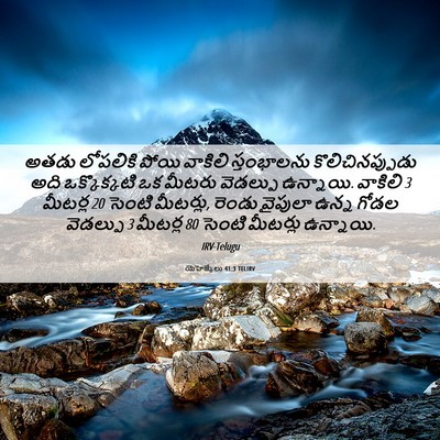 Picture 06 - యెహెజ్కేలు 41:3 TELIRV - అతడు లోపలికి పోయి - Bible Verse Picture