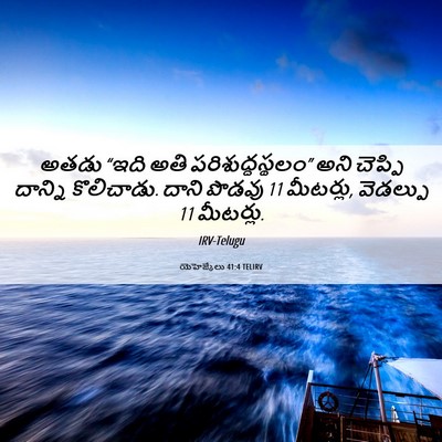 Picture 06 - యెహెజ్కేలు 41:4 TELIRV - అతడు “ఇది అతి - Bible Verse Picture