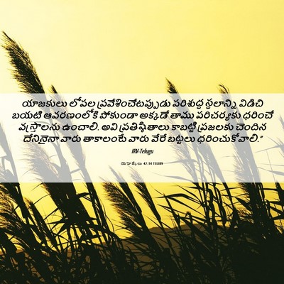 Picture 06 - యెహెజ్కేలు 42:14 TELIRV - యాజకులు లోపల - Bible Verse Picture
