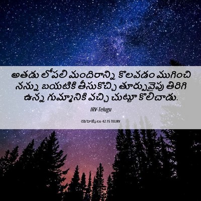 Picture 06 - యెహెజ్కేలు 42:15 TELIRV - అతడు లోపలి - Bible Verse Picture