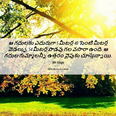 Picture 06 - యెహెజ్కేలు 42:4 TELIRV - ఆ గదులకు ఎదురుగా 5 - Bible Verse Picture