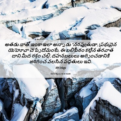 Picture 06 - యెహెజ్కేలు 43:18 TELIRV - అతడు నాతో ఇంకా ఇలా - Bible Verse Picture