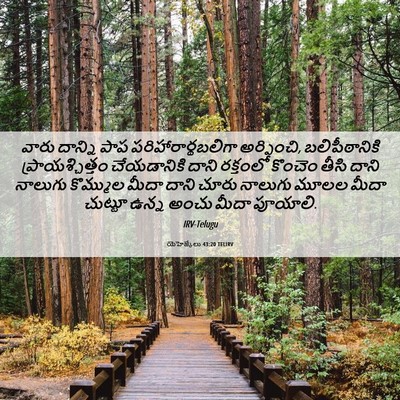 Picture 06 - యెహెజ్కేలు 43:20 TELIRV - వారు దాన్ని పాప - Bible Verse Picture