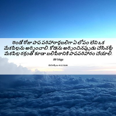 Picture 06 - యెహెజ్కేలు 43:22 TELIRV - రెండో రోజు పాప - Bible Verse Picture