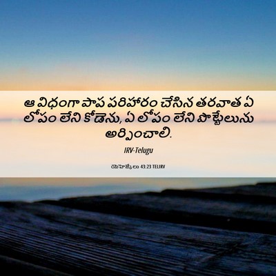 Picture 06 - యెహెజ్కేలు 43:23 TELIRV - ఆ విధంగా పాప - Bible Verse Picture