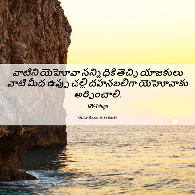Picture 06 - యెహెజ్కేలు 43:24 TELIRV - వాటిని యెహోవా - Bible Verse Picture