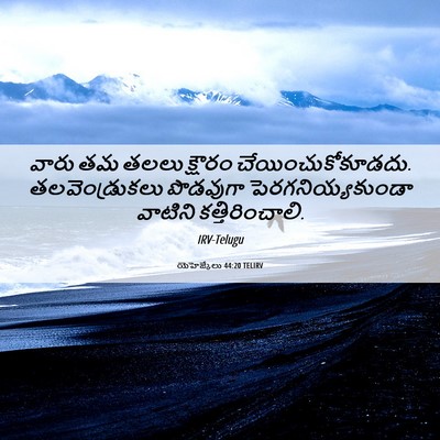 Picture 06 - యెహెజ్కేలు 44:20 TELIRV - వారు తమ తలలు - Bible Verse Picture