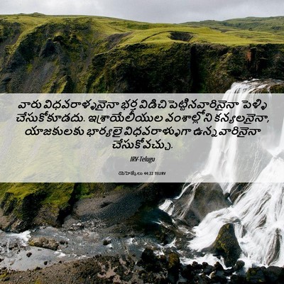 Picture 06 - యెహెజ్కేలు 44:22 TELIRV - వారు - Bible Verse Picture