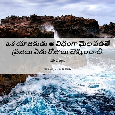 Picture 06 - యెహెజ్కేలు 44:26 TELIRV - ఒక యాజకుడు ఆ - Bible Verse Picture