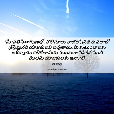 Picture 06 - యెహెజ్కేలు 44:30 TELIRV - “మీ - Bible Verse Picture