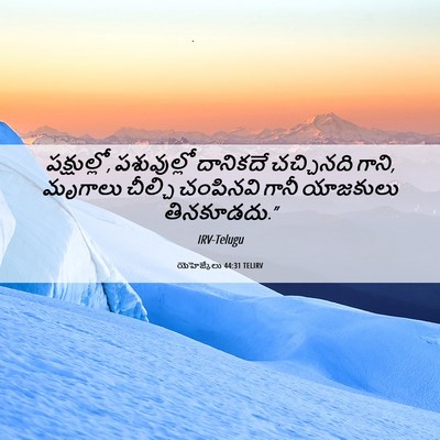 Picture 06 - యెహెజ్కేలు 44:31 TELIRV - పక్షుల్లో, - Bible Verse Picture