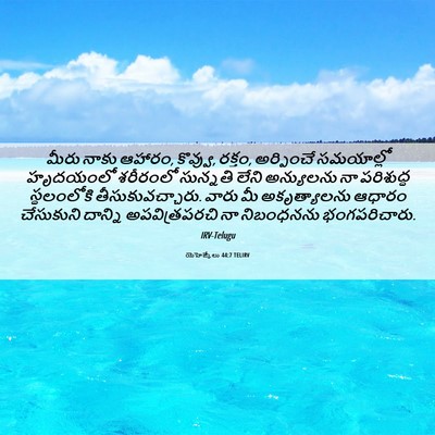 Picture 06 - యెహెజ్కేలు 44:7 TELIRV - మీరు నాకు ఆహారం, - Bible Verse Picture