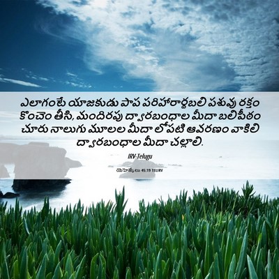 Picture 06 - యెహెజ్కేలు 45:19 TELIRV - ఎలాగంటే యాజకుడు - Bible Verse Picture