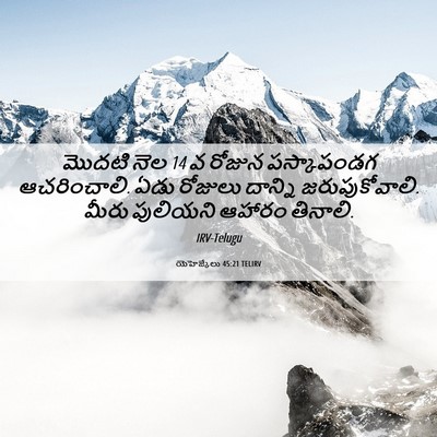 Picture 06 - యెహెజ్కేలు 45:21 TELIRV - మొదటి నెల 14 వ రోజున - Bible Verse Picture