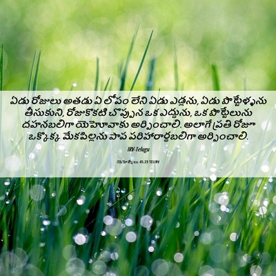 Picture 06 - యెహెజ్కేలు 45:23 TELIRV - ఏడు రోజులు అతడు ఏ - Bible Verse Picture