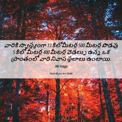 Picture 06 - యెహెజ్కేలు 45:5 TELIRV - వారికి - Bible Verse Picture