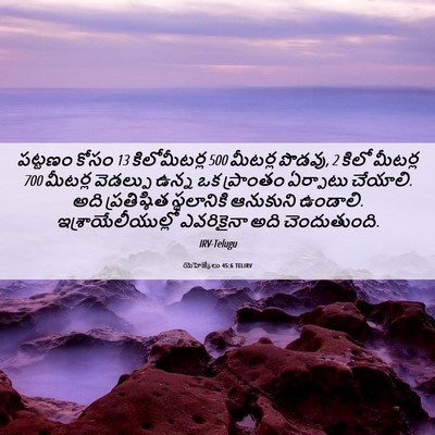 Picture 06 - యెహెజ్కేలు 45:6 TELIRV - పట్టణం కోసం 13 - Bible Verse Picture