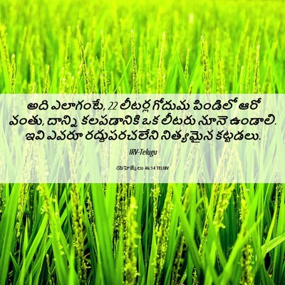 Picture 06 - యెహెజ్కేలు 46:14 TELIRV - అది ఎలాగంటే, 22 - Bible Verse Picture