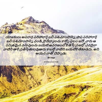 Picture 06 - యెహెజ్కేలు 46:20 TELIRV - యాజకులు అపరాధ - Bible Verse Picture