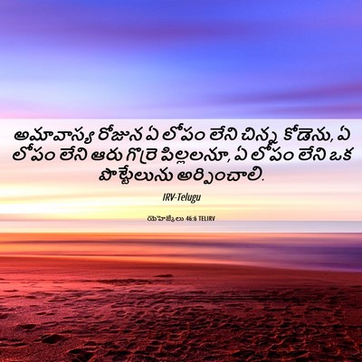 Picture 06 - యెహెజ్కేలు 46:6 TELIRV - అమావాస్య రోజున ఏ - Bible Verse Picture
