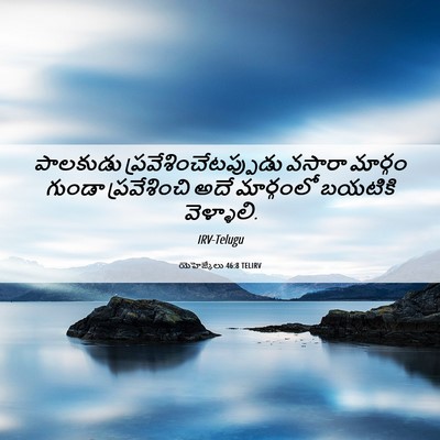 Picture 06 - యెహెజ్కేలు 46:8 TELIRV - పాలకుడు - Bible Verse Picture