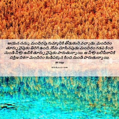 Picture 06 - యెహెజ్కేలు 47:1 TELIRV - ఆయన నన్ను మందిరపు - Bible Verse Picture