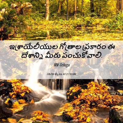 Picture 06 - యెహెజ్కేలు 47:21 TELIRV - ఇశ్రాయేలీయుల - Bible Verse Picture