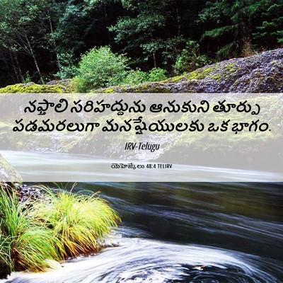 Picture 06 - యెహెజ్కేలు 48:4 TELIRV - నఫ్తాలి - Bible Verse Picture
