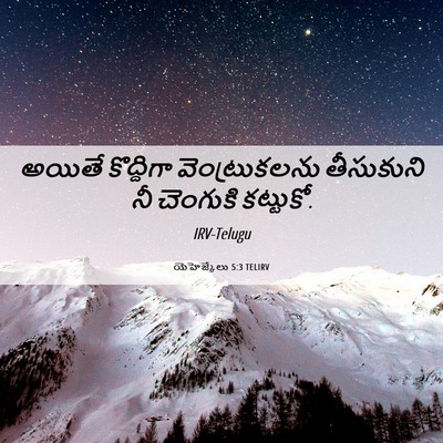 Picture 06 - యెహెజ్కేలు 5:3 TELIRV - అయితే కొద్దిగా - Bible Verse Picture