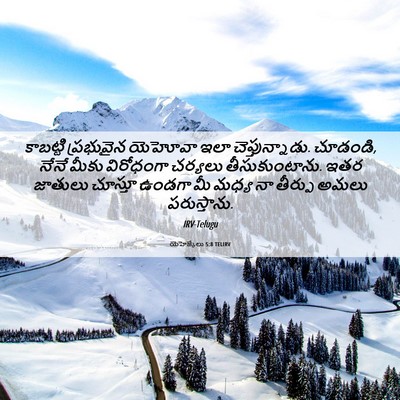 Picture 06 - యెహెజ్కేలు 5:8 TELIRV - కాబట్టి ప్రభువైన - Bible Verse Picture