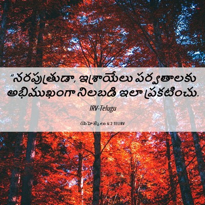 Picture 06 - యెహెజ్కేలు 6:2 TELIRV - “నరపుత్రుడా, - Bible Verse Picture