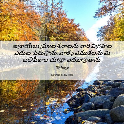 Picture 06 - యెహెజ్కేలు 6:5 TELIRV - ఇశ్రాయేలు ప్రజల - Bible Verse Picture