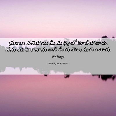 Picture 06 - యెహెజ్కేలు 6:7 TELIRV - ప్రజలు చనిపోయి మీ - Bible Verse Picture