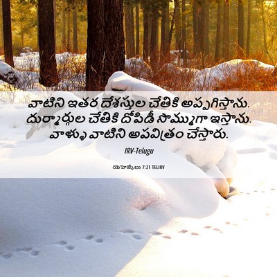 Picture 06 - యెహెజ్కేలు 7:21 TELIRV - వాటిని ఇతర - Bible Verse Picture