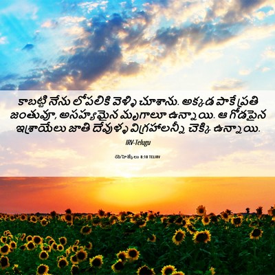 Picture 06 - యెహెజ్కేలు 8:10 TELIRV - కాబట్టి నేను - Bible Verse Picture