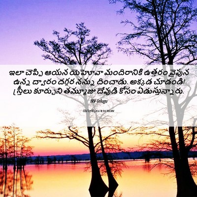 Picture 06 - యెహెజ్కేలు 8:14 TELIRV - ఇలా చెప్పి ఆయన - Bible Verse Picture
