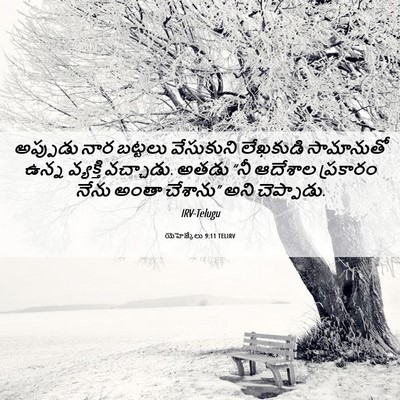 Picture 06 - యెహెజ్కేలు 9:11 TELIRV - అప్పుడు నార - Bible Verse Picture