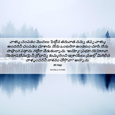 Picture 06 - యెహెజ్కేలు 9:8 TELIRV - వాళ్ళు చంపడం - Bible Verse Picture