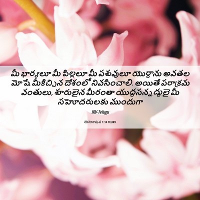 Picture 06 - యెహోషువ 1:14 TELIRV - మీ భార్యలూ మీ - Bible Verse Picture