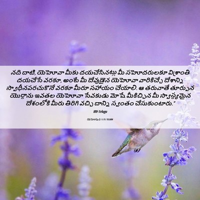 Picture 06 - యెహోషువ 1:15 TELIRV - నది దాటి, యెహోవా - Bible Verse Picture